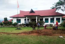 Wujudkan Kota Hijau, DLH Konut Tanam 10 Ribu Pohon Trambesi Wujudkan Kota Hijau, DLH Konut Tanam 10 Ribu Pohon Trambesi