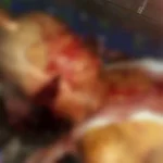 Sadis, Lelaki Asal Muna Barat Ini Tewas Diparangi Sadis, Lelaki Asal Muna Barat Ini Tewas Diparangi