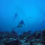 Upcara HUT RI Bawah Laut di Wakatobi, Pesertanya Membludak Upcara HUT RI Bawah Laut di Wakatobi, Pesertanya Membludak