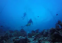 Upcara HUT RI Bawah Laut di Wakatobi, Pesertanya Membludak Upcara HUT RI Bawah Laut di Wakatobi, Pesertanya Membludak