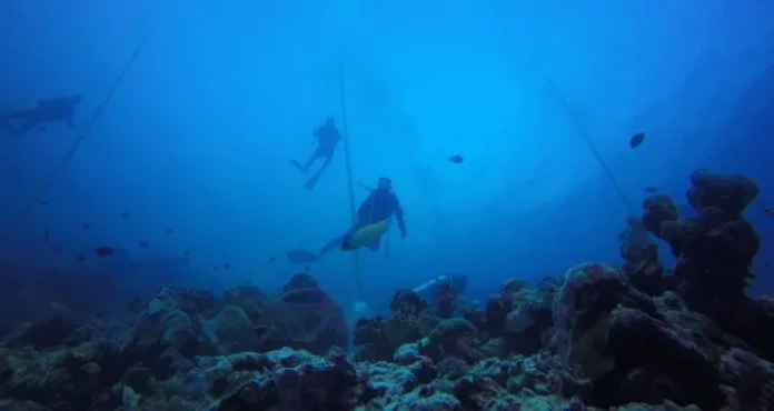 upacara_bawah_laut Upcara HUT RI Bawah Laut di Wakatobi, Pesertanya Membludak