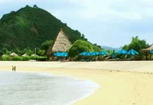 News Value Mandalika Besar, Ini Buktinya News Value Mandalika Besar, Ini Buktinya