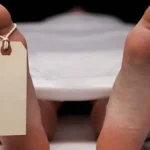 Sakit Asma, Penumpang Tujuan Bungku Meninggal Diatas Kapal Ilustrasi