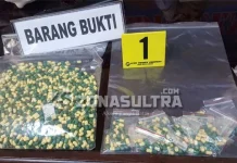 Somadril dan Tramadol Sebabkan Puluhan Warga Kendari Masuk UGD Bersamaan Polda Sultra Sita Ribuan Somadril dan Tramadol