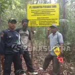 Kemenhut Supervisi Pemasangan Batas Lokasi Izin PT Paramitha Kemenhut Supervisi Pemasangan Batas Lokasi Izin PT Paramitra