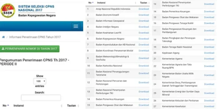 cpns_gel_2 60 Lembaga Negara, Satu Provinsi Buka Lowongan CPNS Tahun 2017