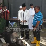 Idul Adha, Binda Sultra Kurban 5 Ekor Sapi dan 1 Kambing Idul Adha, Binda Sultra Kurban 5 Ekor Sapi dan 1 Kambing