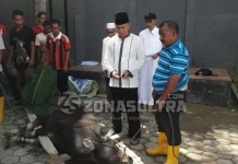 Idul Adha, Binda Sultra Kurban 5 Ekor Sapi dan 1 Kambing Idul Adha, Binda Sultra Kurban 5 Ekor Sapi dan 1 Kambing