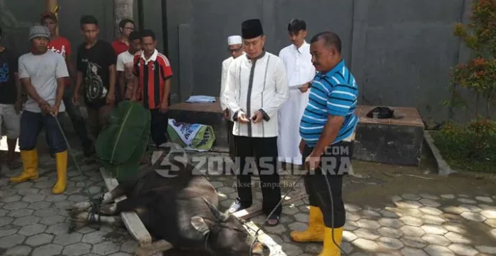 Idul Adha, Binda Sultra Kurban 5 Ekor Sapi dan 1 Kambing
