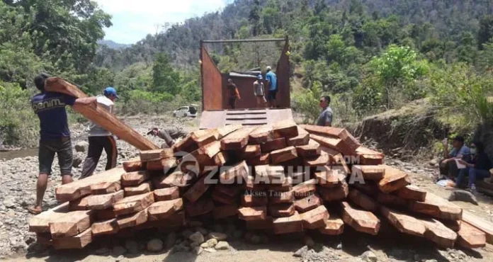 KPHP Konut Kembali Amankan 24 Kubik Kayu