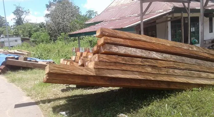 kayu_tak KPHP Konut Amankan 20 Kubik Kayu yang Diduga dari Hutan Lindung