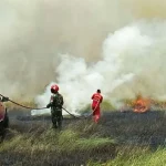 Kawasan Konservasi Taman Nasional Rawa Aopa Watumohai Terbakar Kawasan Konservasi Taman Nasional Rawa Aopa Watumohai Terbakar