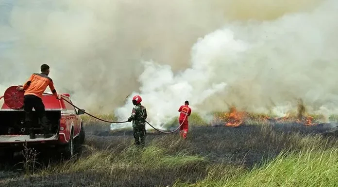 Kawasan Konservasi Taman Nasional Rawa Aopa Watumohai Terbakar