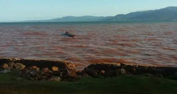 DPRD Konut Tuding PT BKM dan Sriwijaya Sengaja Cemari Laut Desa Tapunggaya dan Tapuemea