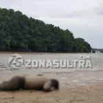 Mayat Pria Telanjang Dada Ditemukan di Pinggir Kali Wanggu Mayat Pria Telanjang Dada Ditemukan di Pinggir Kali Wanggu