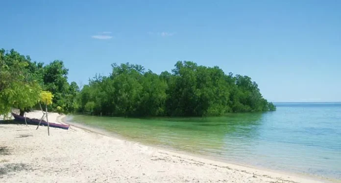 Pantai Pasir Putih Atapupu