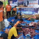 BMH Sultra Pilih Salurkan Hewan Kurban ke Desa-Desa HEWAN KURBAN – Pembagian hewan kurban di desa Watumbohoti, Kecamatan Palangga Selatan, Konawe Selatan (Konsel) pada Minggu (3/9/2017) oleh Baitul Maal Hidayatullah. (Foto: BMH Sultra)