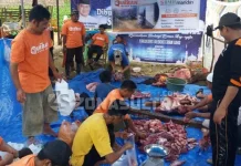 BMH Sultra Pilih Salurkan Hewan Kurban ke Desa-Desa HEWAN KURBAN – Pembagian hewan kurban di desa Watumbohoti, Kecamatan Palangga Selatan, Konawe Selatan (Konsel) pada Minggu (3/9/2017) oleh Baitul Maal Hidayatullah. (Foto: BMH Sultra)