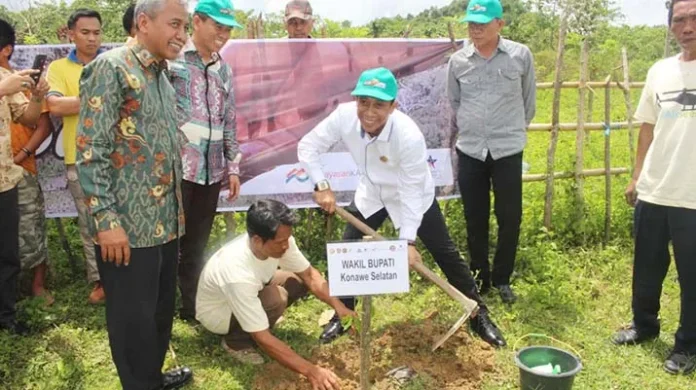 Rehabilitasi Hutan di Konsel, Ribuan Benih Pohon Ditabur dari Helikopter