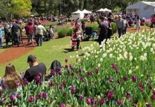 Kuliner Indonesia Siap Goyang Lidah Australia di Spring Festival 2017 Araluen Spring Festival 2017 Araluen