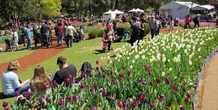 Spring Festival 2017 Araluen