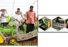 Inovasi Mesin Panen Bawang Merah Solusi Efektif dan Efisien Untuk Petani Inovasi Mesin Panen Bawang Merah Solusi Efektif dan Efisien Untuk Petani