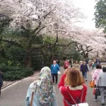 Menggapai Cita di Negeri Sakura, Mulai dari Ilmu Hingga Karir