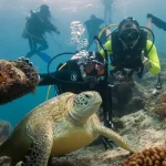 Gencarkan Promosi Pariwisata, Berau Luncurkan Gerakan Sejuta Like Spot Diving Kabupaten Berau