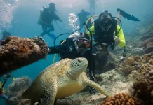 Gencarkan Promosi Pariwisata, Berau Luncurkan Gerakan Sejuta Like Spot Diving Kabupaten Berau