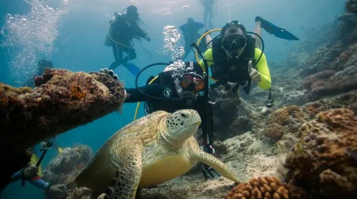 Spot Diving Kabupaten Berau