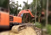 Upaya Menjaga Sagu Tetap Lestari di Bumi Konawe Upaya Menjaga Sagu Tetap Lestari di Bumi Konawe