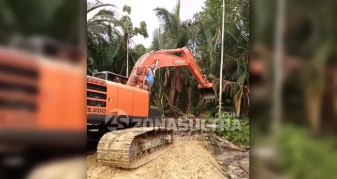 feature_sagu Upaya Menjaga Sagu Tetap Lestari di Bumi Konawe