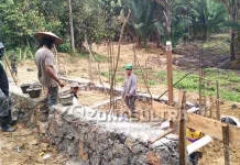 FAO PBB Uji Coba Dua Pabrik Sagu di Konawe Upaya Menjaga Sagu Tetap Lestari di Bumi Konawe