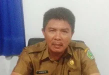 Potong Sapi Betina Produktif, Warga Konawe Bakal Didenda Rp 300 Juta Kepala Disnakeswan Konawe, Jumrin