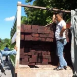 Polres Muna Amankan Satu Truk Bermuatan Kayu Ilegal Polres Muna Amankan Satu Truk Bermuatan Kayu Ilegal