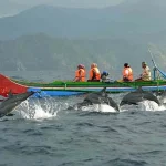 Asyiknya Bercengkrama dengan Lumba-Lumba di Teluk Kiluan Lampung Asyiknya Bercengkrama dengan Lumba-Lumba di Teluk Kiluan Lampung