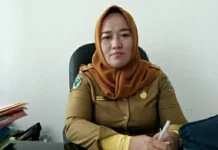 Dinkes Konut Imbau Masyarakat Jaga Pola Hidup Sehat Kepala Dinas Kesehatan (Kadinkes) Konut Nurjannah Efendi