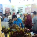 UHO Tampilkan 17 Produk Berbasis Teknologi dalam Pameran Hakteknas UHO Tampilkan 17 Produk Berbasis Teknologi dalam Pameran Hakteknas
