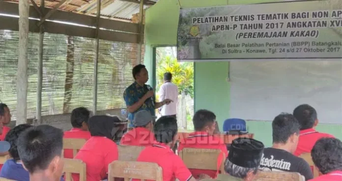 BBPP Batangkaluku: Petani Kakao Harus Pintar Remajakan Tanamannya
