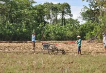 Bupati Konawe Sebut Pertanian Solusi Kurangi Pengangguran Bupati Konawe Sebut Pertanian Solusi Kurangi Pengangguran