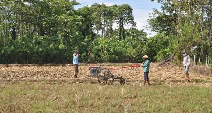 Bupati Konawe Sebut Pertanian Solusi Kurangi Pengangguran