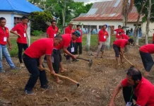 Petani Sultra Masih Temui Kendala Kembangkan Kedelai Petani Sultra Masih Temui Kendala Kembangkan Kedelai