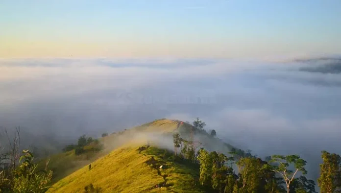 Pesona Puncak Ahuawali Konawe, Keindahan Negeri di Atas Awan, Puncak Ahuawali Konawe