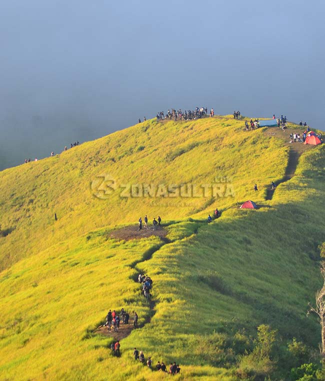 Pesona Puncak Ahuawali Konawe, Keindahan Negeri di Atas Awan, Puncak Ahuawali Konawe