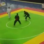 Kalah dari Pesilat DKI, Fajar Alif Sumbang Perunggu Riki Aris Munandar Terhenti Diperempatfinal Pomnas