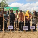 Sukseskan Swasembada Pangan Nasional, Bupati Konsel Tanam Perdana Kedelai Sukseskan Swasembada Pangan Nasional, Bupati Konsel Tanam Perdana Kedelai