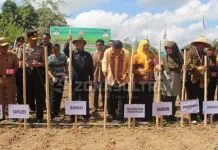 Sukseskan Swasembada Pangan Nasional, Bupati Konsel Tanam Perdana Kedelai Sukseskan Swasembada Pangan Nasional, Bupati Konsel Tanam Perdana Kedelai