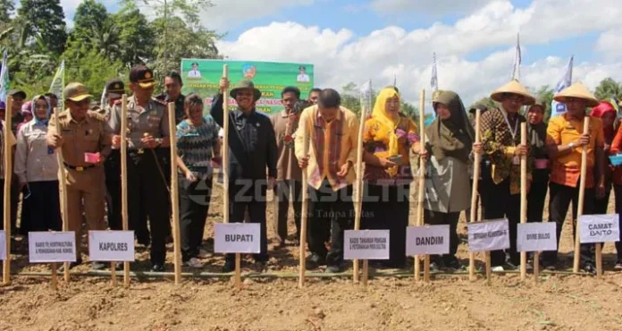 Sukseskan Swasembada Pangan Nasional, Bupati Konsel Tanam Perdana Kedelai