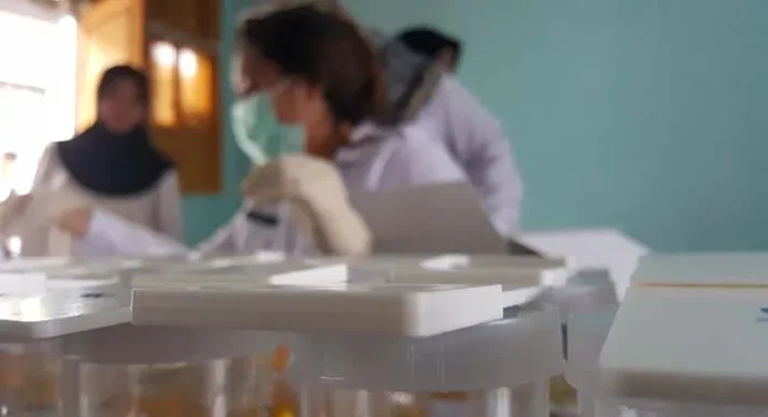 BNN Lakukan Tes Urine Mendadak di Dinas Pendidikan Pemuda dan Olahraga Kota Kendari