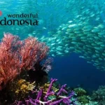 Atlet Freediving Dunia Mulai Terpikat Bawah Laut Sabang Wonderful Indonesia